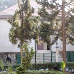 Masjed of Damascus University